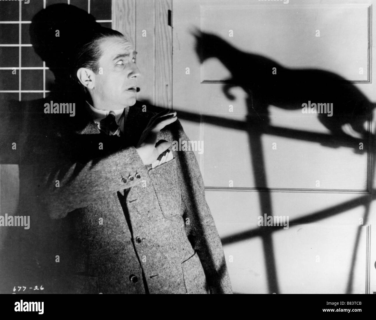 Die schwarze Katze Jahr: 1934 USA Bela Lugosi Regisseur: Edgar G. Ulmer Stockfoto