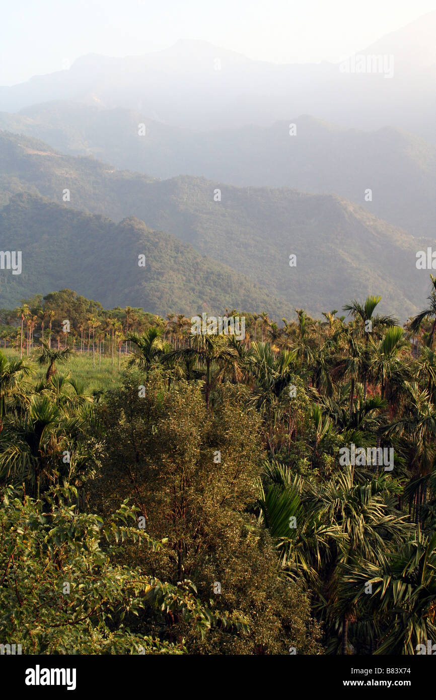 Robuste Dschungel gekleidete Berge des Innenraums von Taiwan Stockfoto