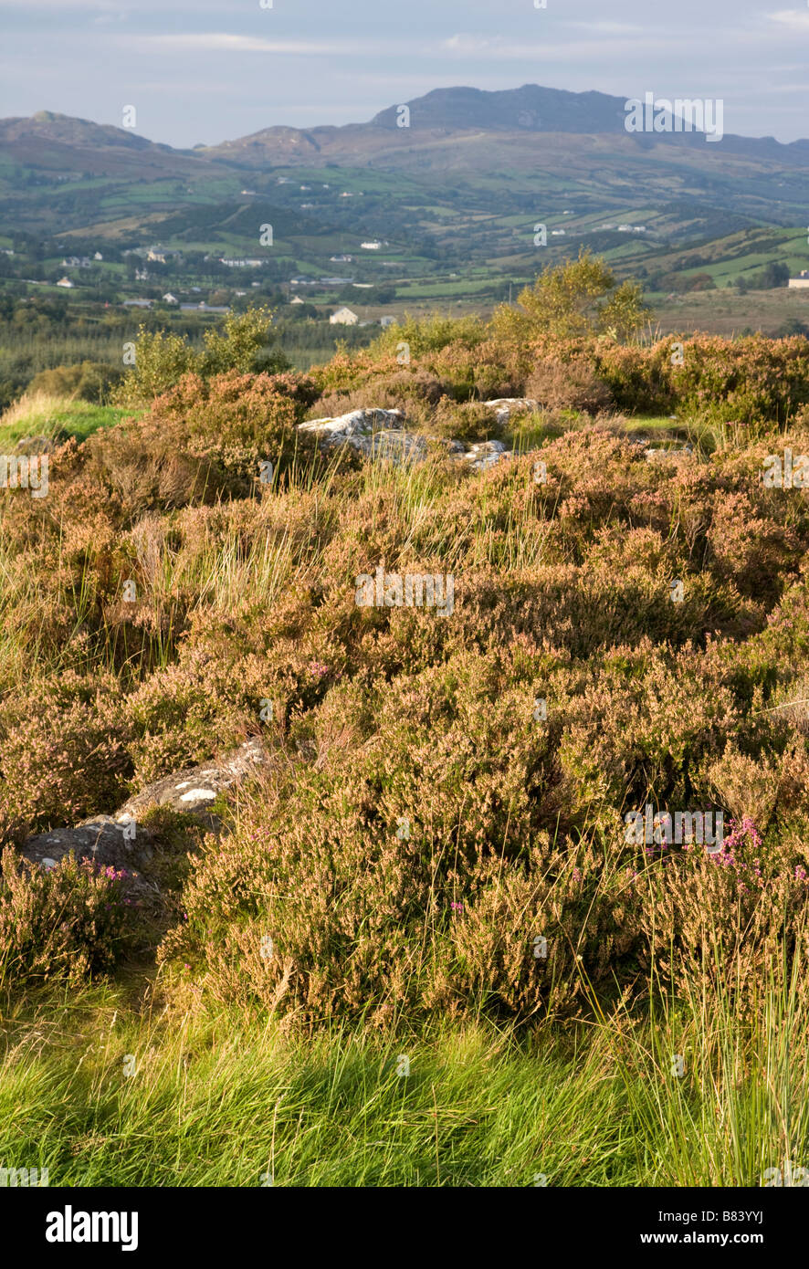 Rollende Hügel in der Nähe von Rock Doon, County Donegal, Irland Stockfoto