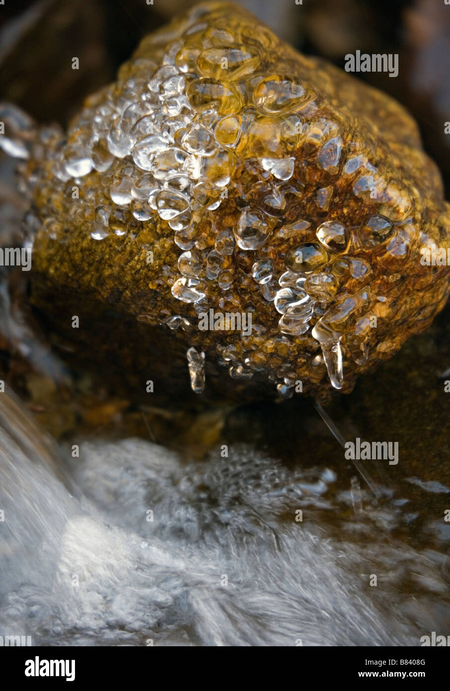Gefrorene Eiszapfen auf Felsen im Bach Bach mit kaltem Wasser in der Nähe von Phortse Umgebung im Khumbu-Region Everest Tal Nepal Stockfoto