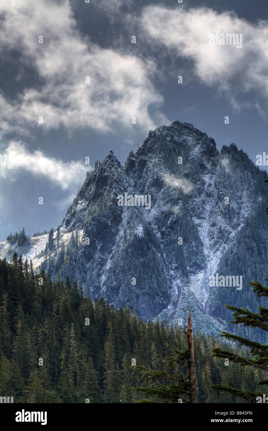 Mount Rainier, Pierce County, Washington Stockfoto