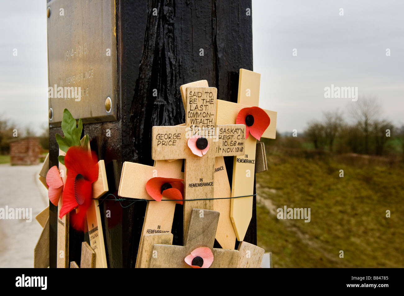 Mohn und Gedächtnis Kreuze zu gefallenen WW1 Lochnagar Krater der Somme Stockfoto