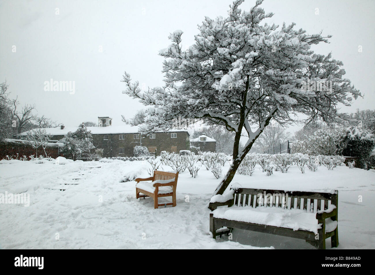 Schuss ein schneebedeckter Baum infront von Homestead, Beckenham Platz Park, Lewisham Stockfoto