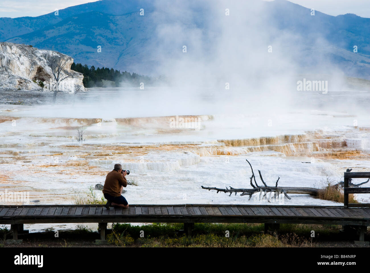 Touristen fotografieren Mammoth Hot Springs im Yellowstone-Nationalpark Stockfoto