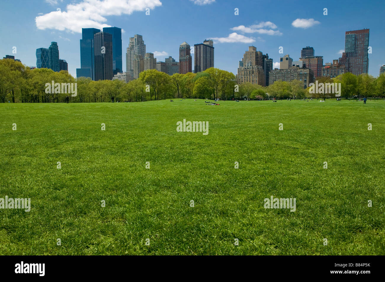 Sheeps Wiese Rasen, Central Park Stockfoto