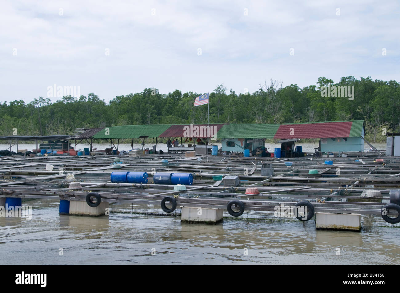 Kukup ist ein kleines Fischerdorf, ist es berühmt für seine Open-Air-Fischrestaurants auf Stelzen über dem Wasser gebaut. Stockfoto