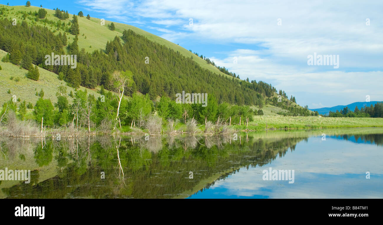 Grüne Hügel und Bäume Gießen eine Reflexion in der perfekt stilles Wasser von einem kleinen See Stockfoto