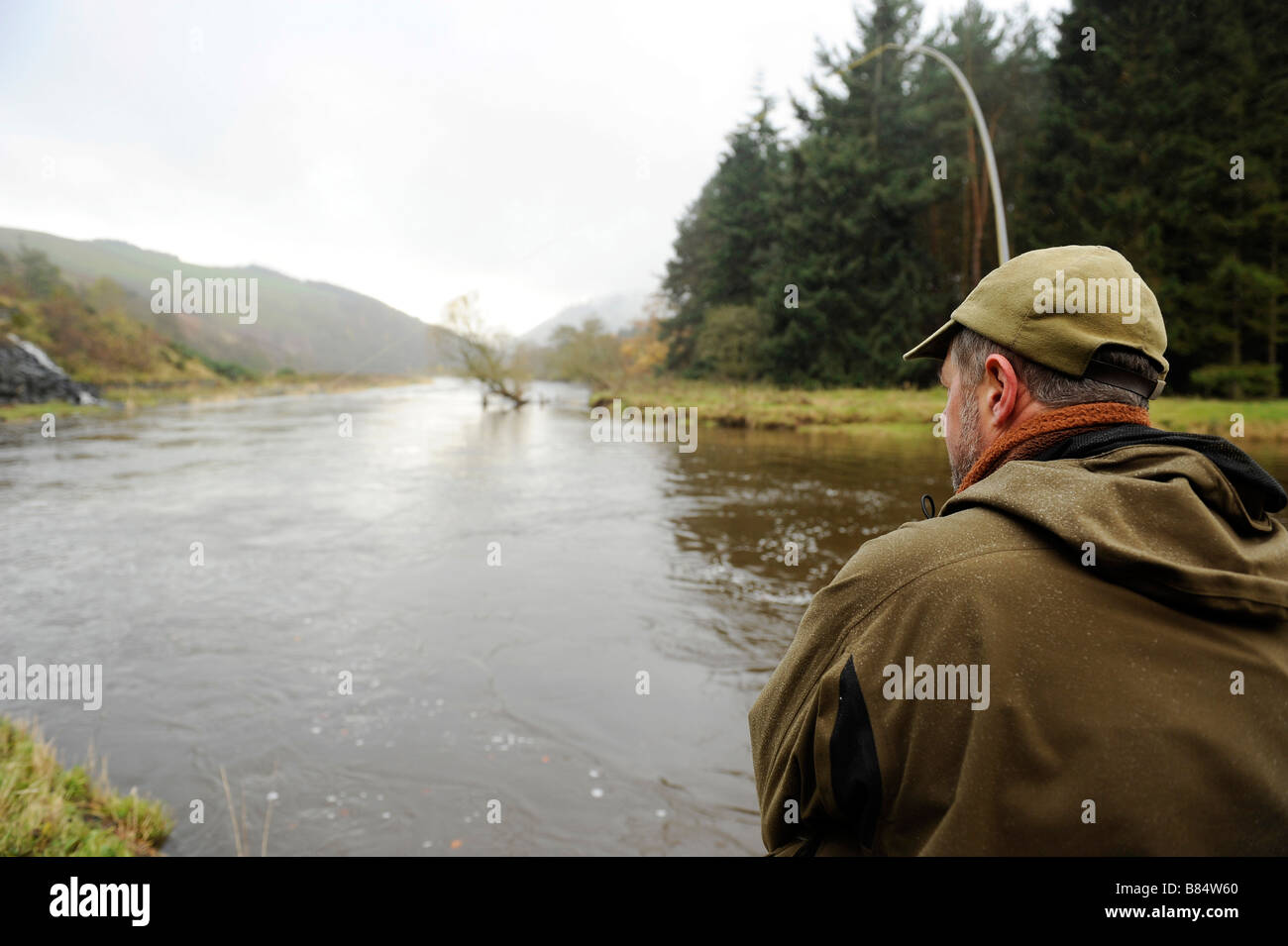 Fliegenfischen auf den Horseburgh schlagen Fluss Tweed Scotland Stockfoto