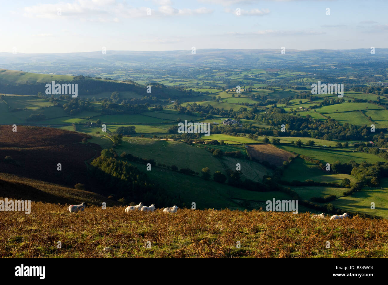 Powys Mid Wales Großbritannien Europe Stockfoto