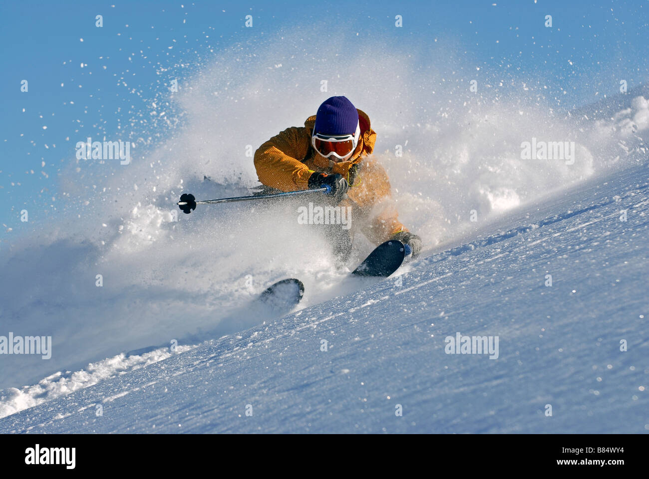 Powder-Skiing Stockfoto