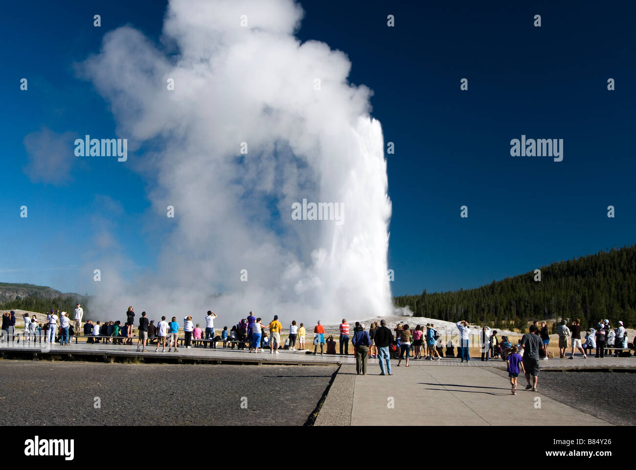 Touristen, die beobachten, wie Old Faithful Geysir bricht im Yellowstone National Park Stockfoto