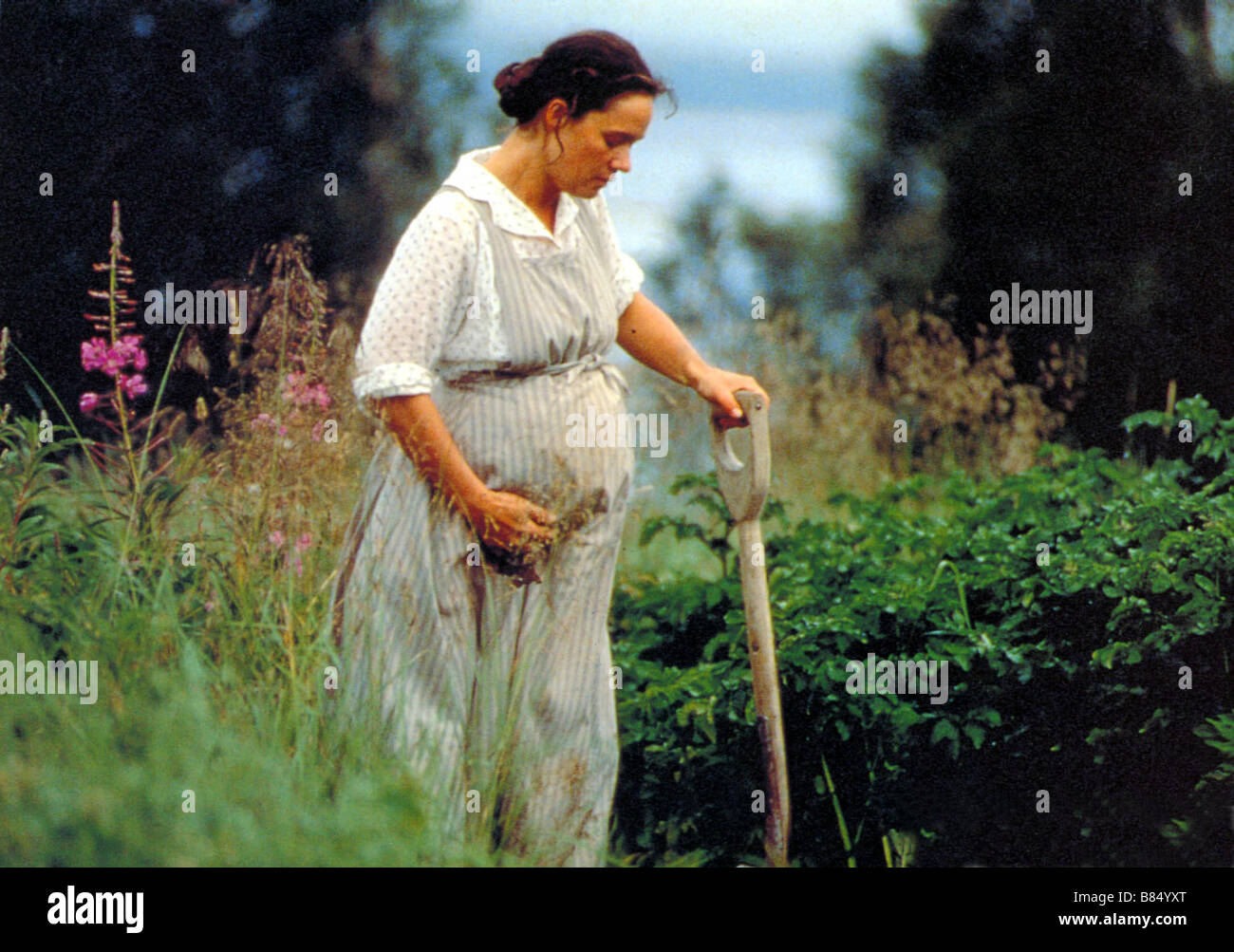 Den Goda viljan Jahr: 1992 - Schweden Pernilla August Regie: Bille August Goldene Palme Cannes 1992 Stockfoto