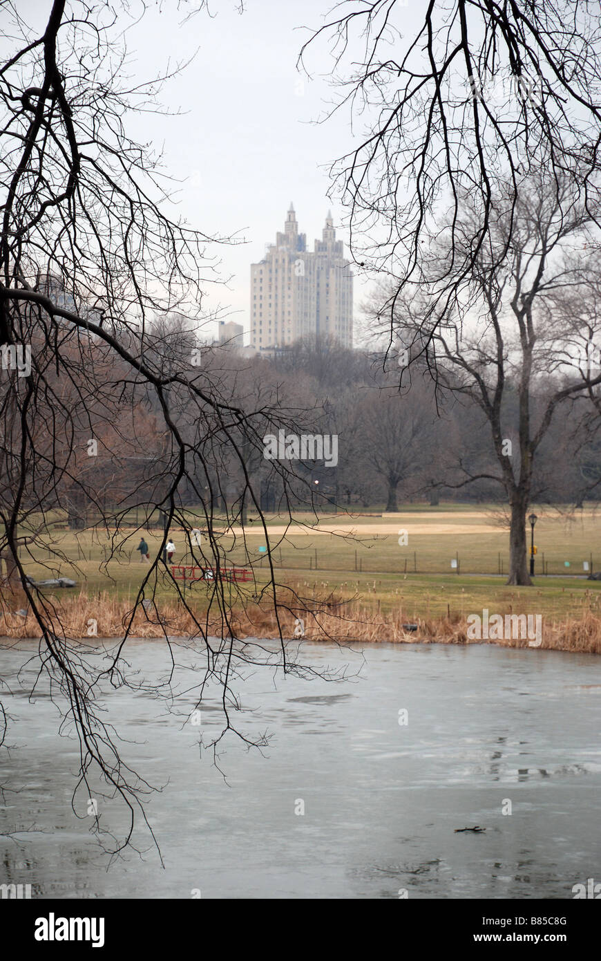Central Park im Winter, New York City Stockfoto