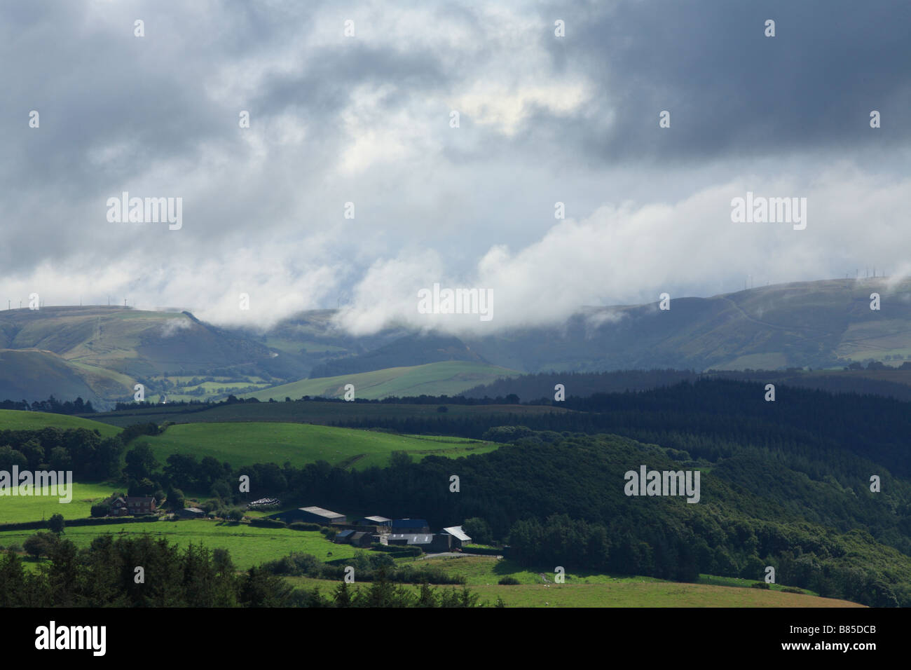 Sommer in den walisischen Bergen. Llandinam Windfarm von Llyn Clywedog. August. Stockfoto