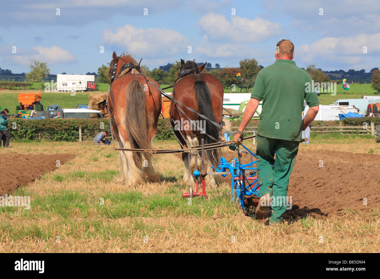 Pferde-Konkurrent Pflügen mit zwei schweren Pferde beim Spiel alle Wales Vintage Pflügen. In der Nähe von Walton, Powys, Wales. Stockfoto