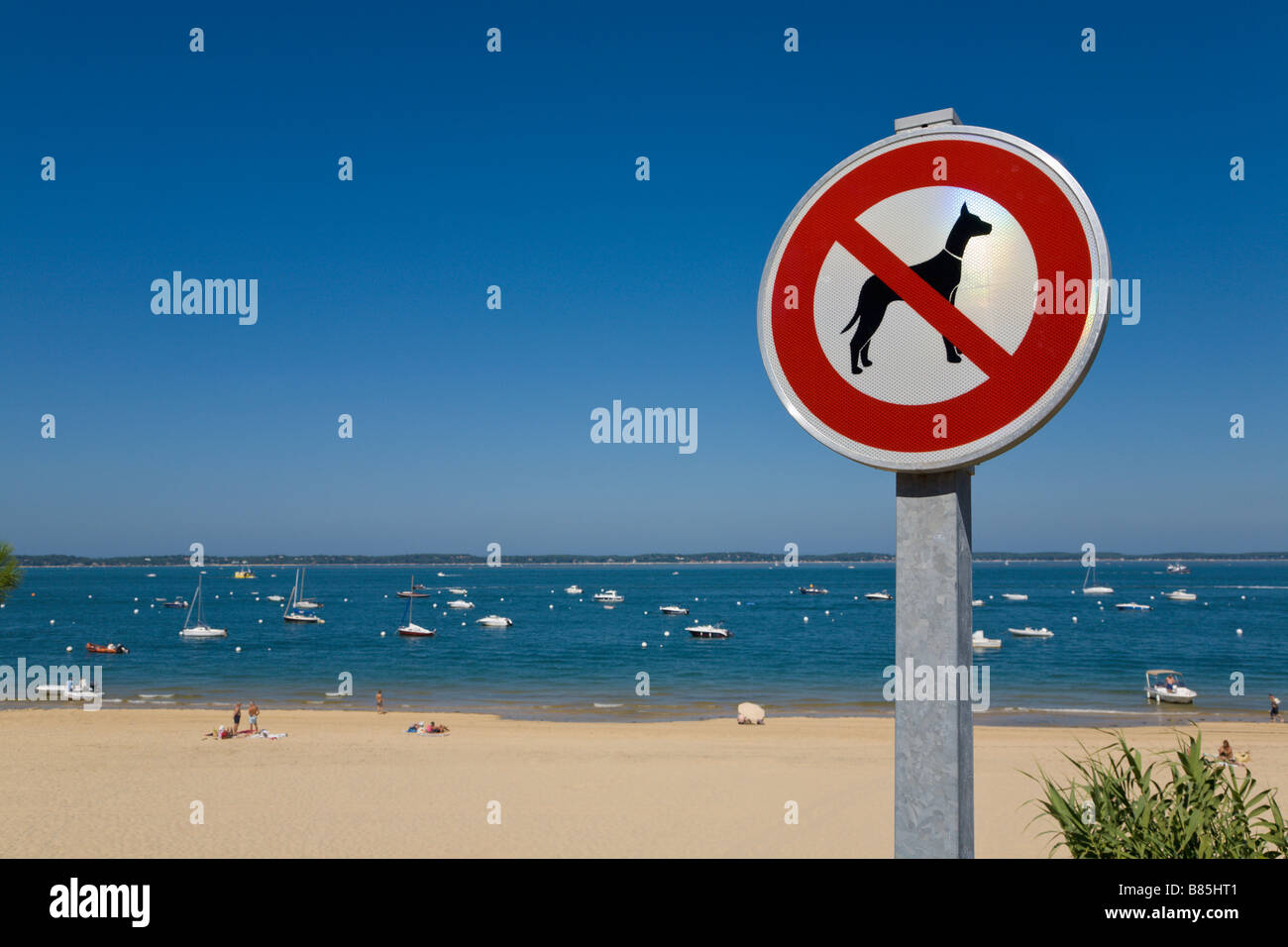 "keine Hunde" Zeichen, Strand, Arcachon, Gironde, Frankreich Stockfoto