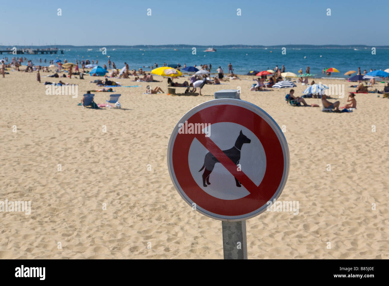 "keine Hunde" Zeichen, Strand, Arcachon, Gironde, Frankreich Stockfoto