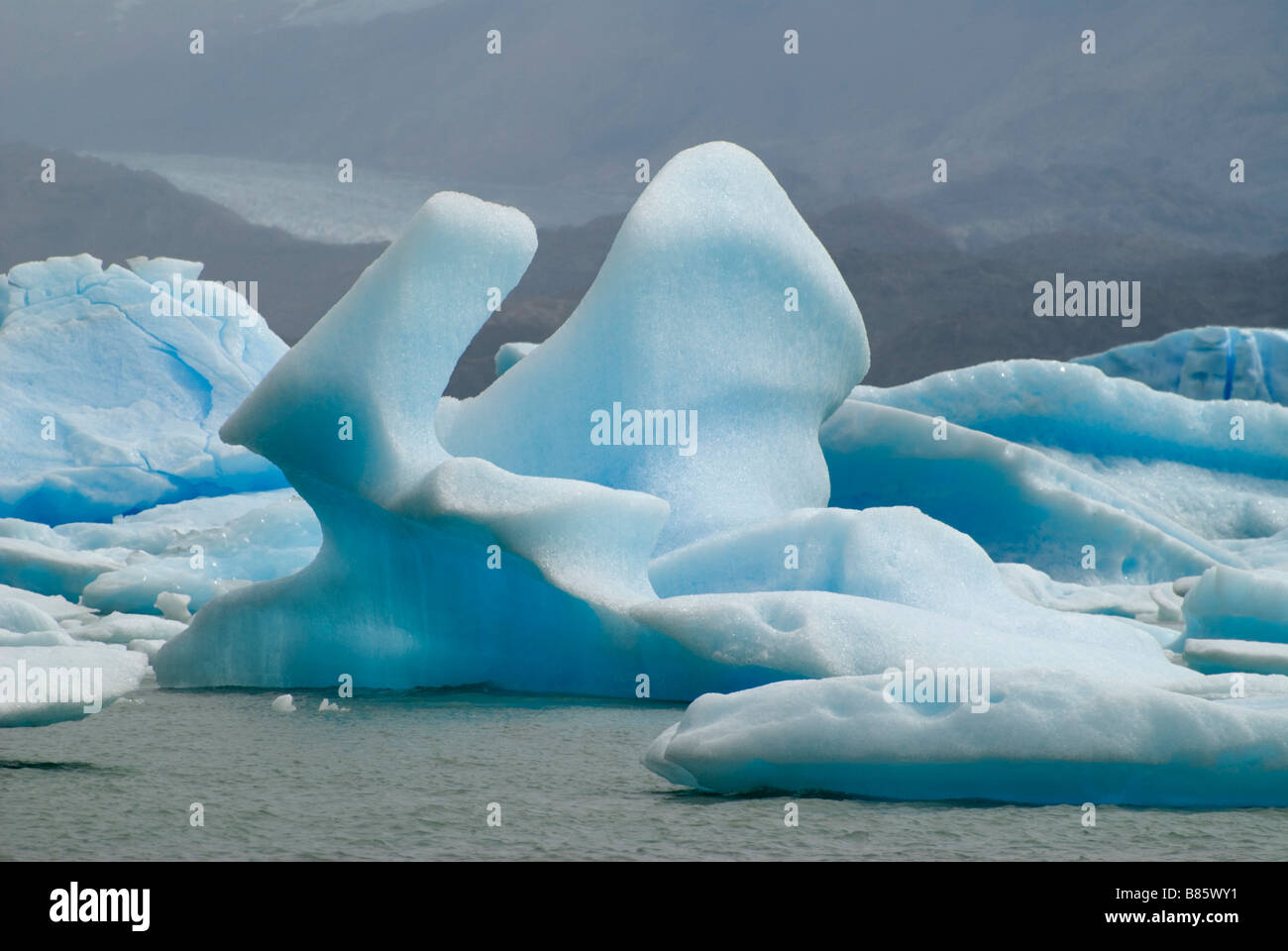 Eisberge schwimmen im Lago Argentino Stockfoto
