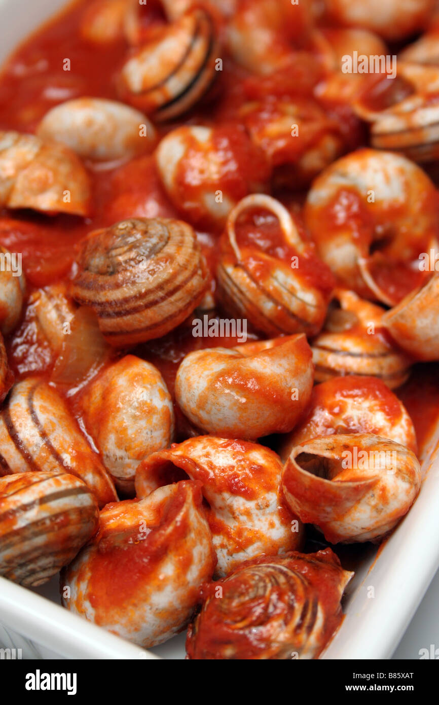 Schnecken in Tomatensauce, serviert mittags ("Pranzo") in einem Heim in Sardinien, Italien Stockfoto