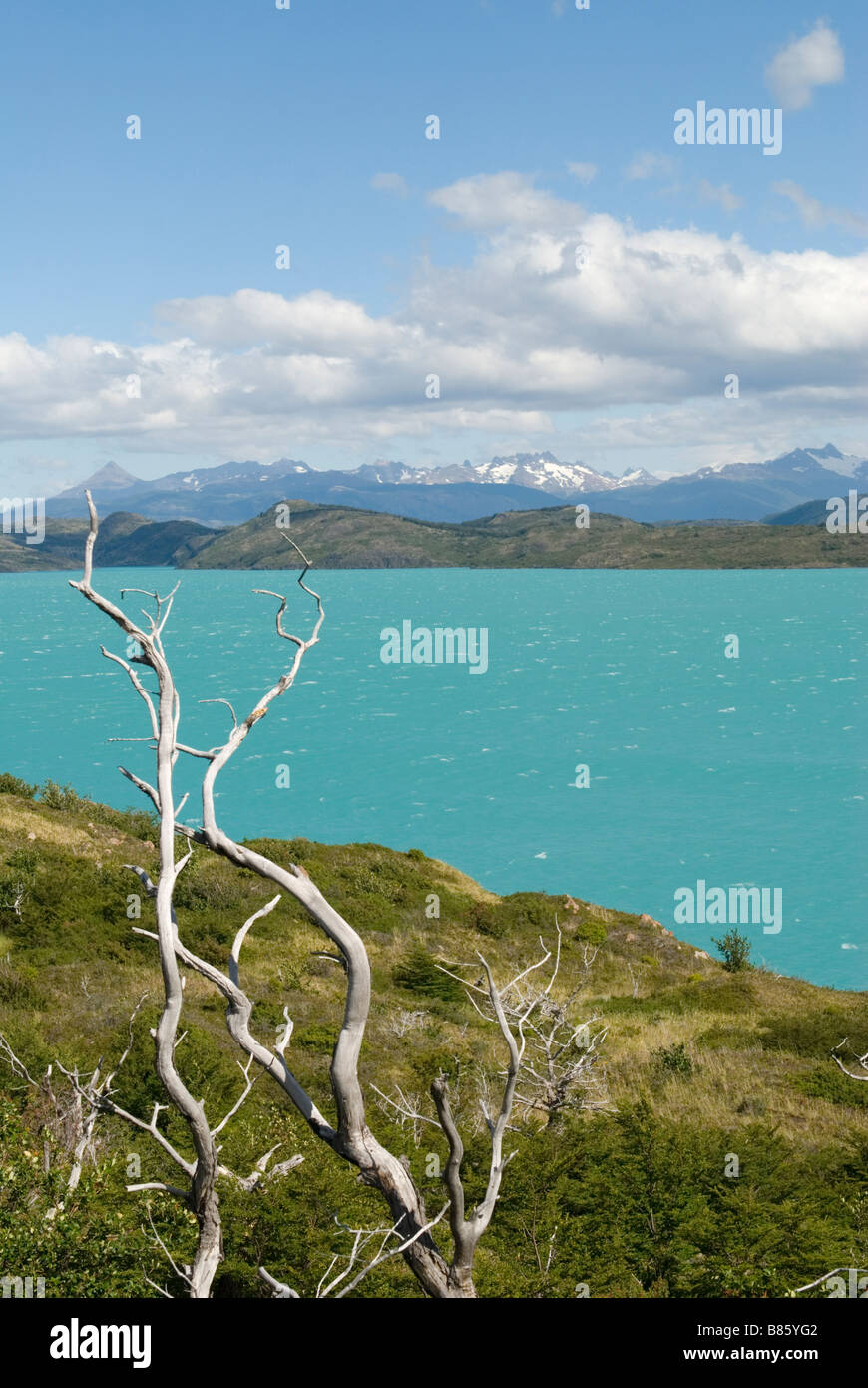 Lago Pehoe im Parque Nacional Torres del Paine, Chile Stockfoto