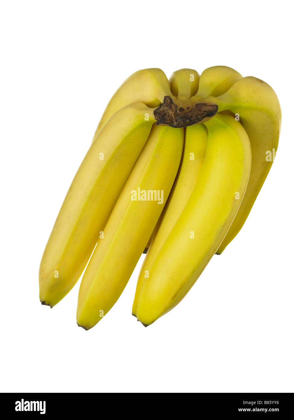Bündel Bananen Stockfoto