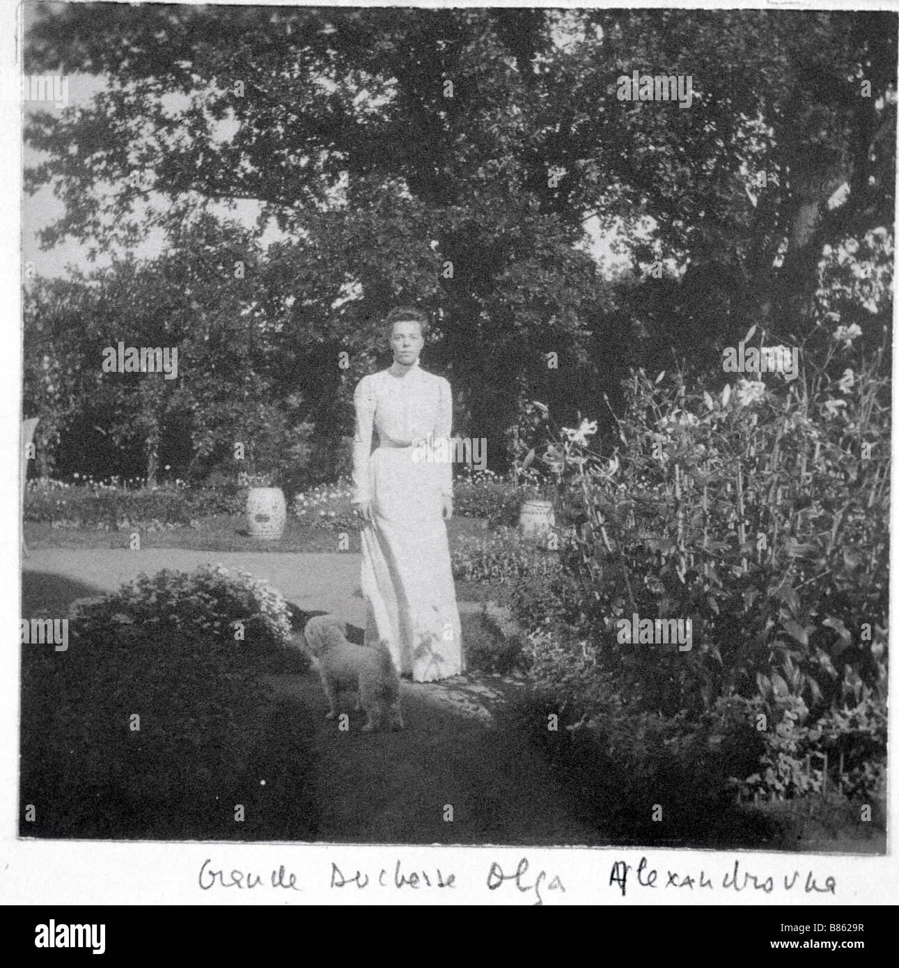 Großherzogin olga alexandrowna Fotos und Bildmaterial in hoher