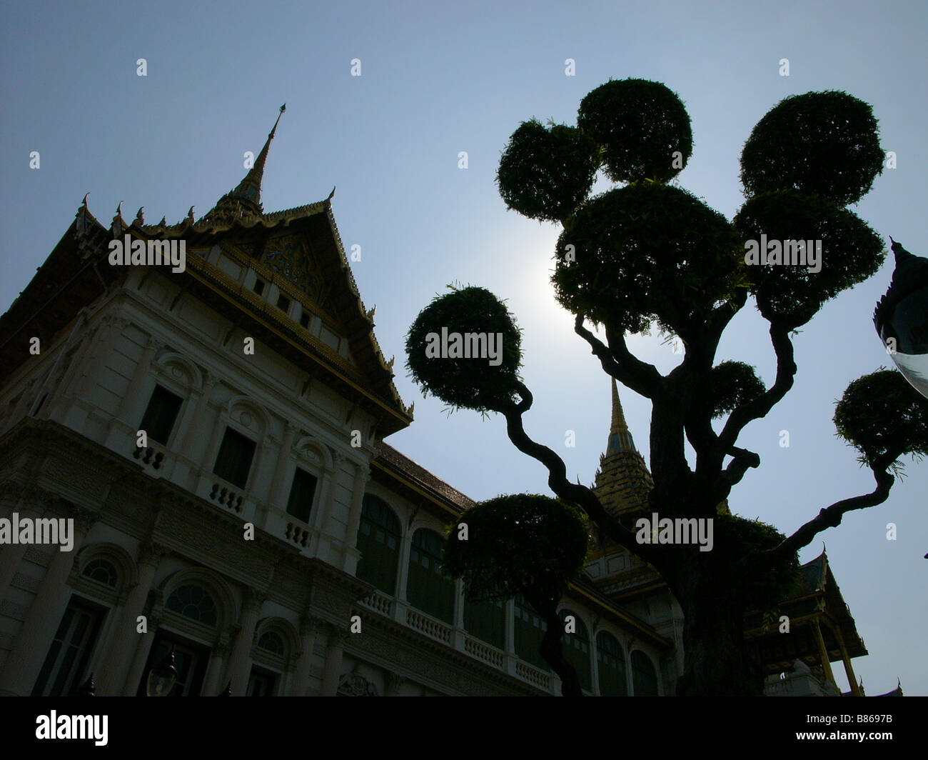 Palast in Bangkok Thailand Licht im Rücken Silhouette mit Baum Stockfoto