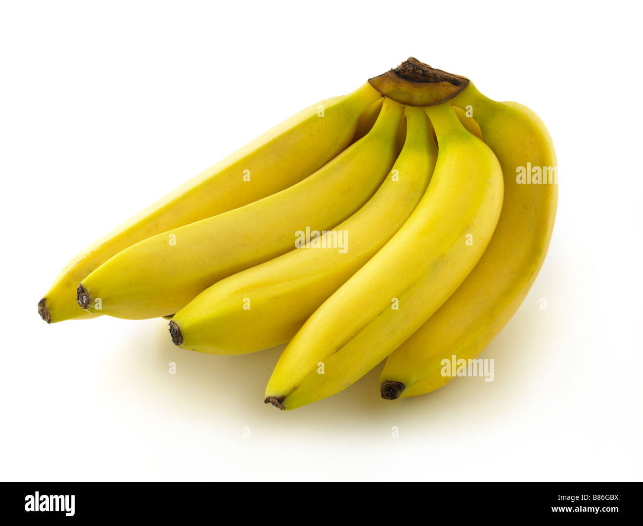 Bündel Bananen Stockfoto