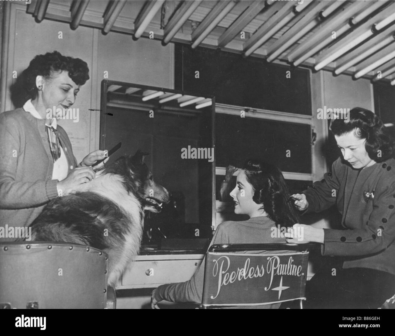 Lassie Home Jahr: 1943 USA Elizabeth Taylor (Liz Taylor) Regie: Fred M. Wilcox schießen Bild kommen Stockfoto