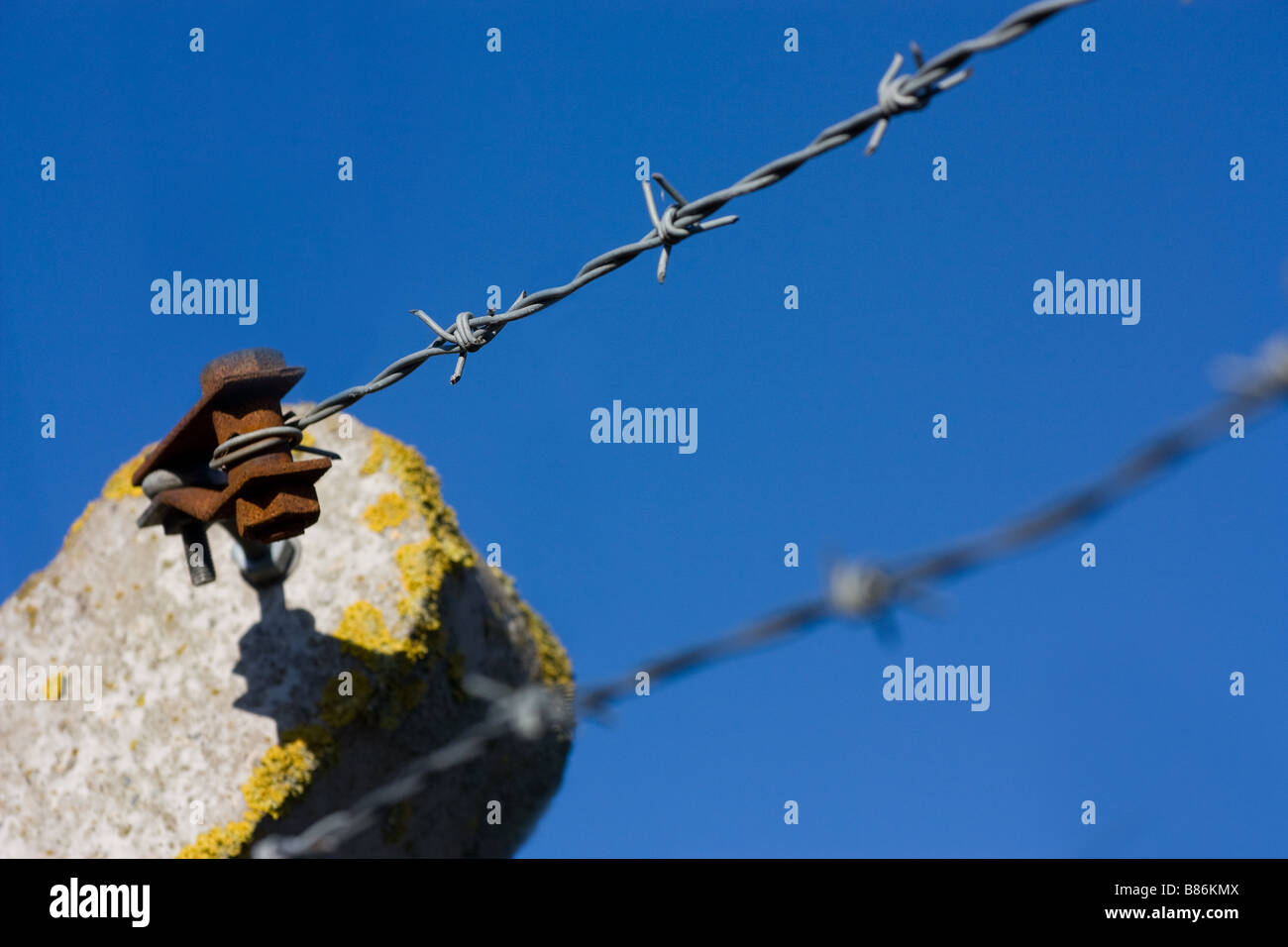 Tipp von Pre gegossen konkrete Sicherheit Zaunpfosten mit rostigen Stacheldraht Spanner und 2 Streifen aus Stacheldraht gegen blauen Himmel Stockfoto