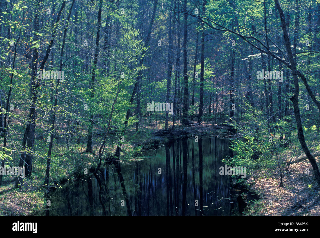 Pocahontas park Fotos und Bildmaterial in hoher Auflösung Alamy