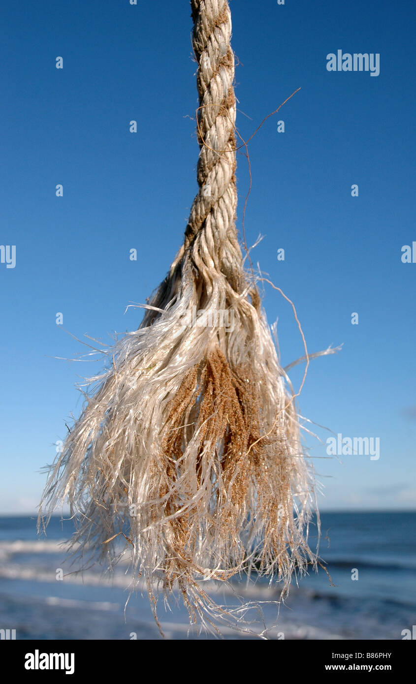 Eine baumelt, ausgefranste Seil an der Küste. Stockfoto
