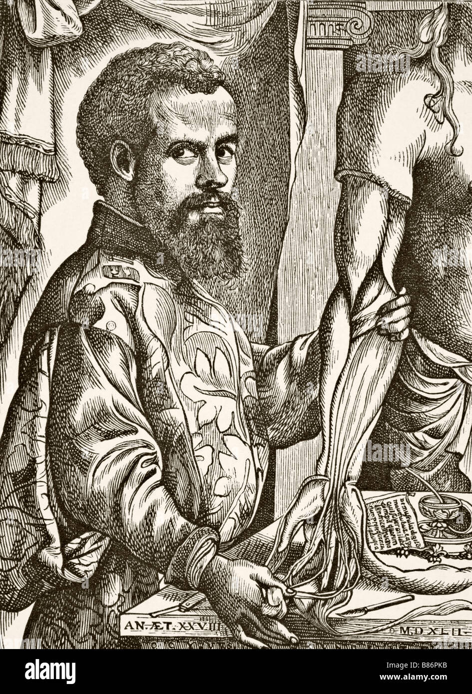 Andreas Vesalius, 1514 - 1564. Anatom, Arzt und Autor von De humani corporis fabrica, über die Funktionsweise des menschlichen Körpers. Stockfoto