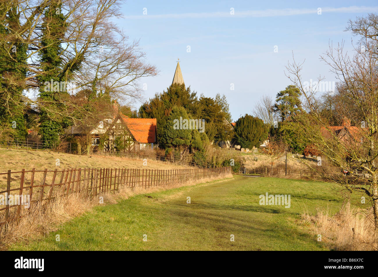 Blick vom Ardington Green, Kirchturm im Blick Stockfoto