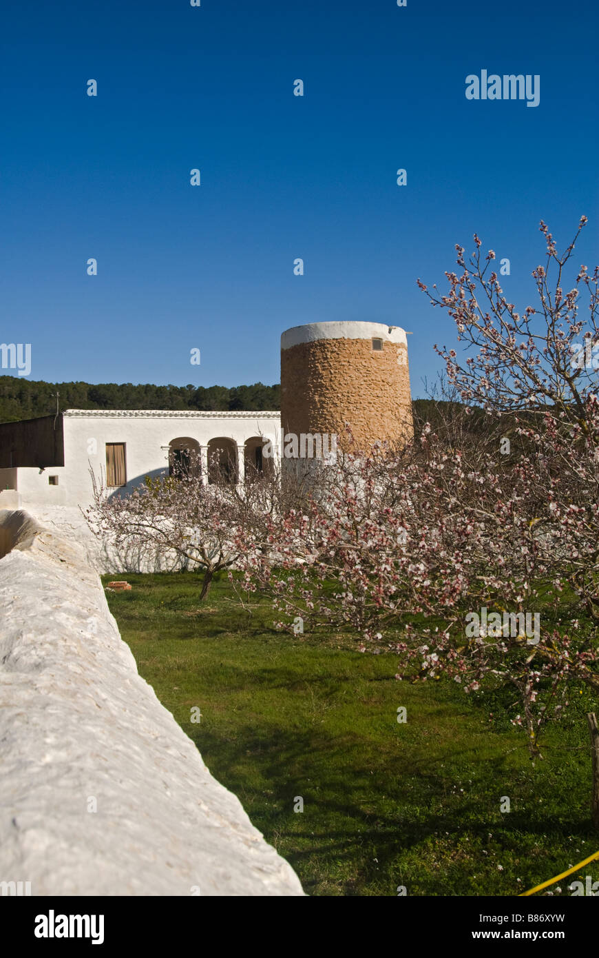 Typisches Landhaus in Sant Llorenç de Balàfia, Ibiza, Spanien Stockfoto