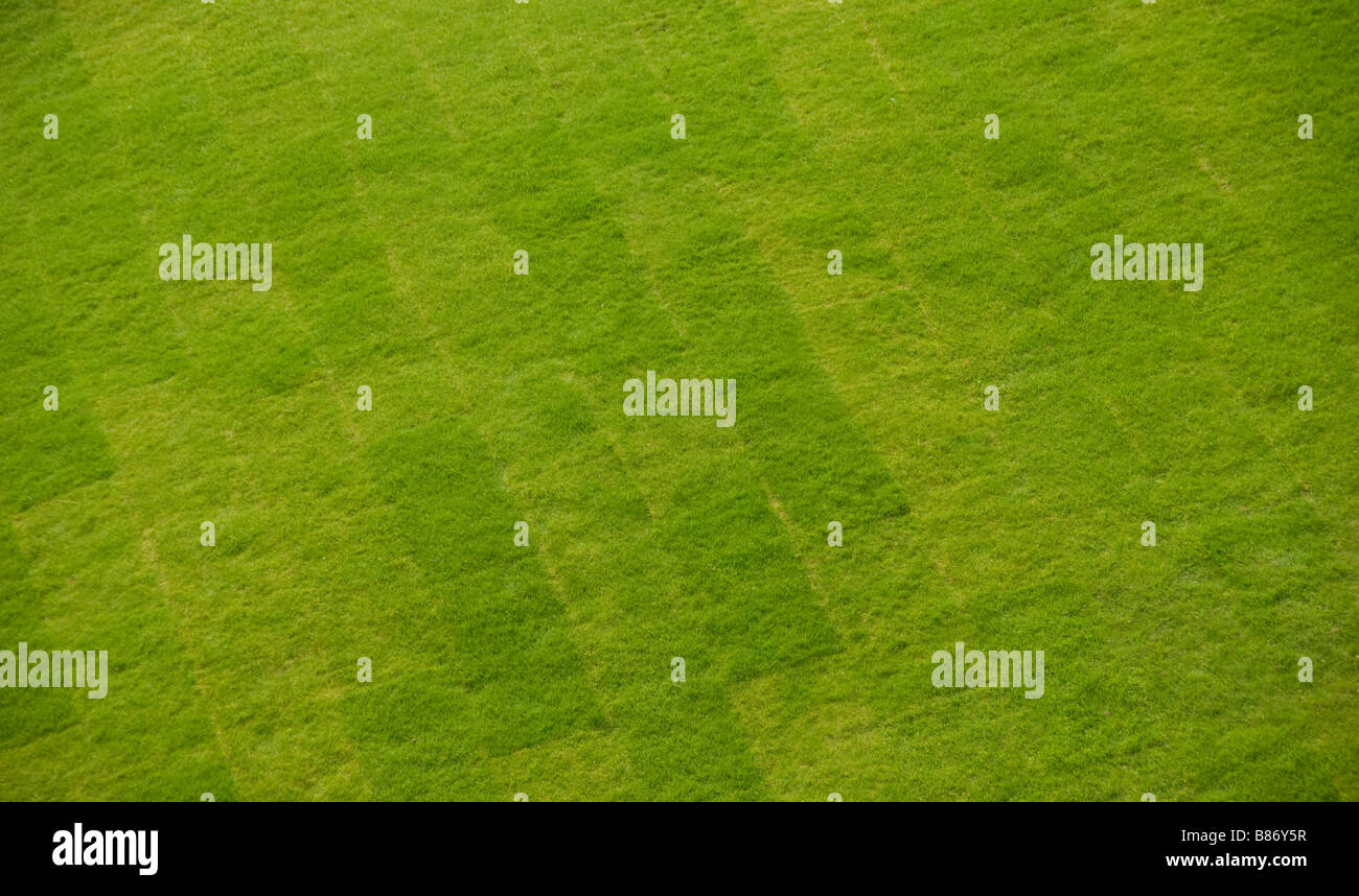 Neu geturmter Rasen. Stockfoto