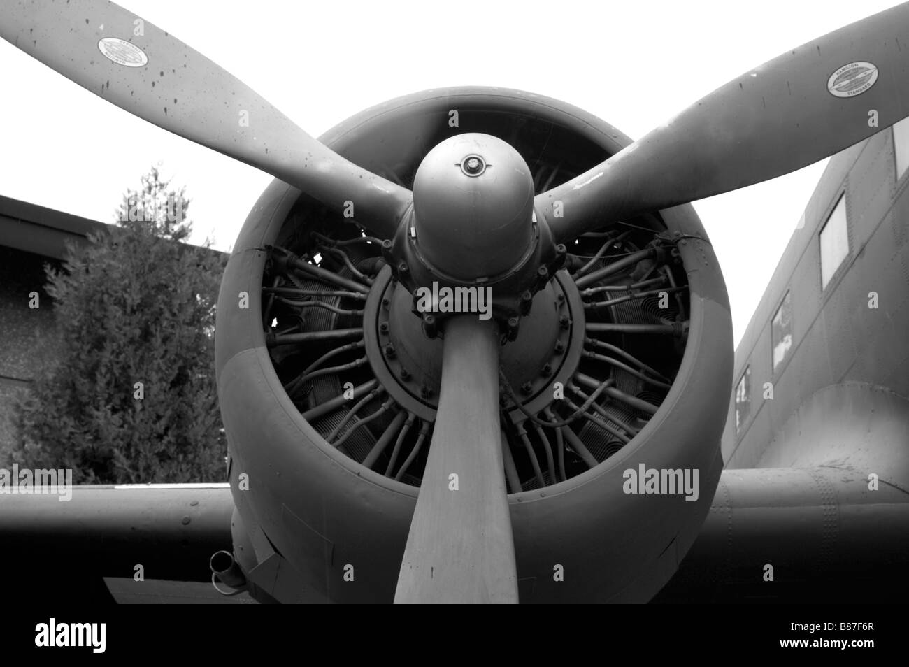 Vintage Flugzeugmotor Nase Prop propeller Stockfoto