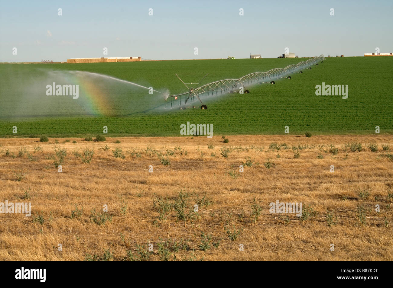 Landwirtschaft Farm Bewässerung Systemfeld Bewässerung Pflanzen Stockfoto