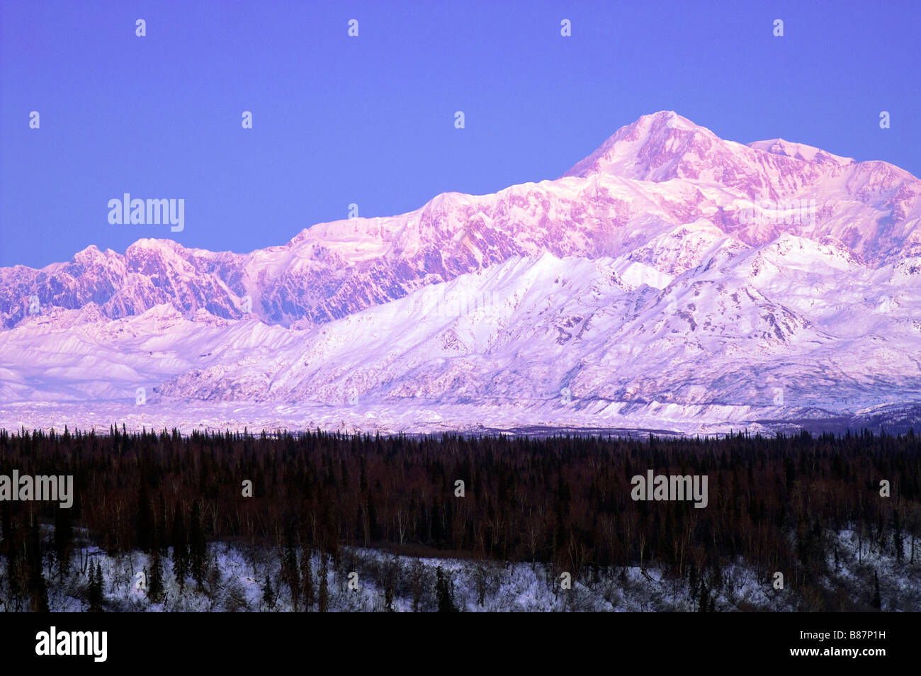 Mt McKinley Alaska Mountain Range Denali Nationalpark USA Nordamerika Stockfoto