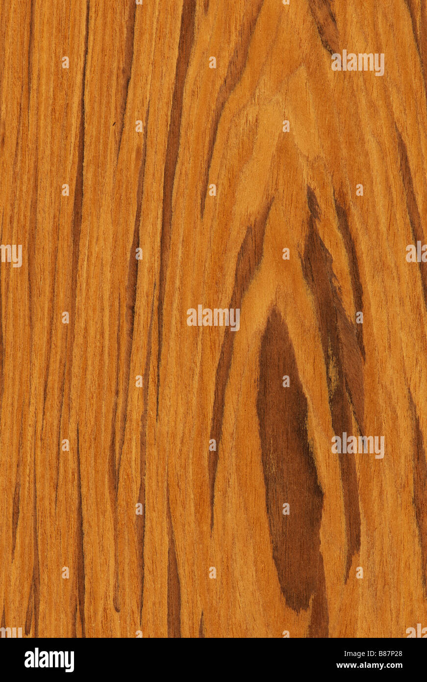 Textur von Teak hoch detaillierte Holzstruktur Serie Stockfoto