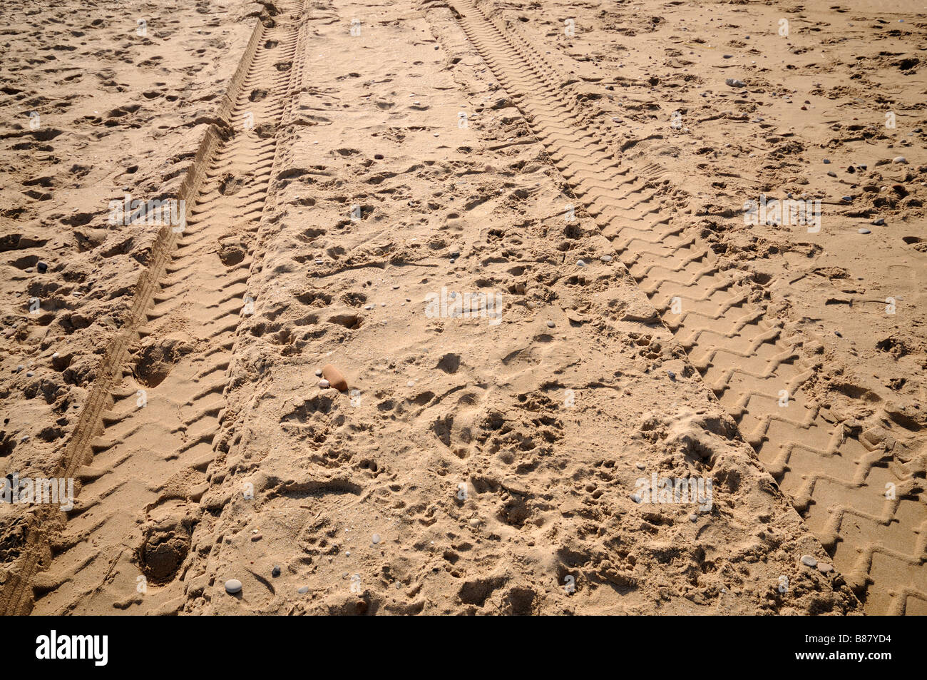 Rad-Marken auf dem Sand in der Nähe der Küste. El Saler. Comunidad Valenciana. Spanien Stockfoto