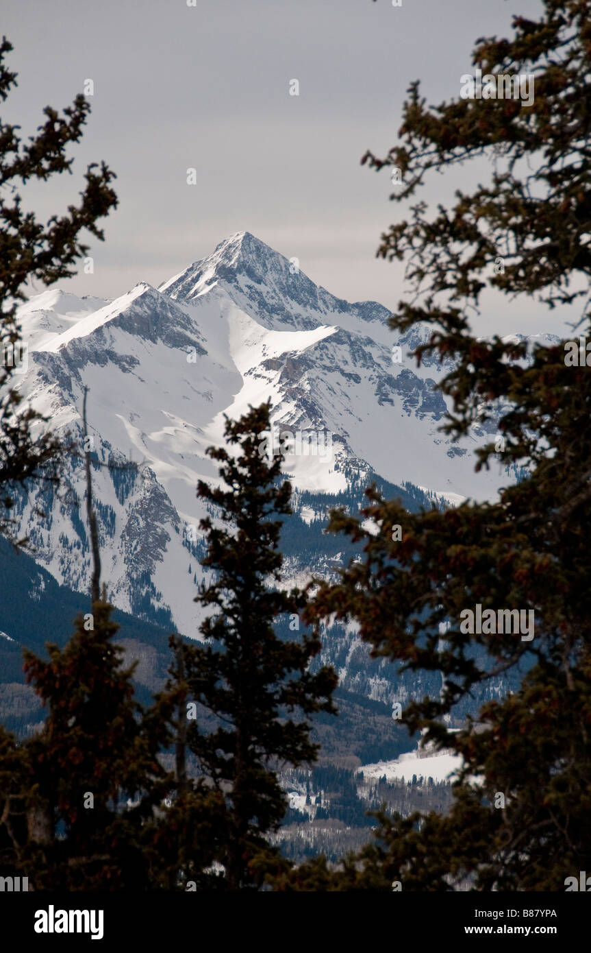 Wilson-Gipfel vom Versucher Haus, Telluride Ski Resort, Telluride, Colorado gesehen. Stockfoto