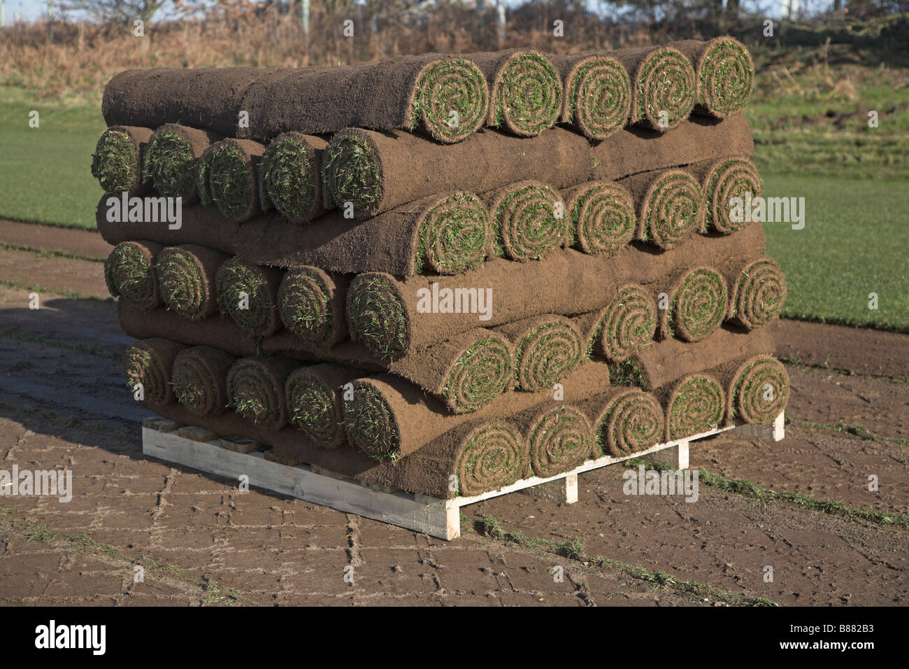 Kommerzielle Rasen Rasen schneiden Sutton Suffolk England Stockfoto