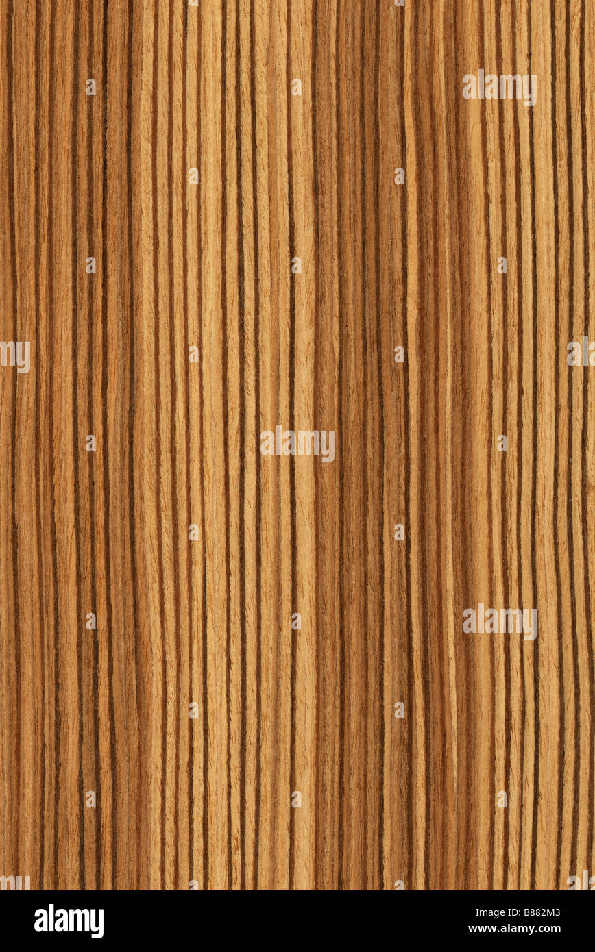 Textur von Zebrano hoch detaillierte Holzstruktur Serie Stockfoto