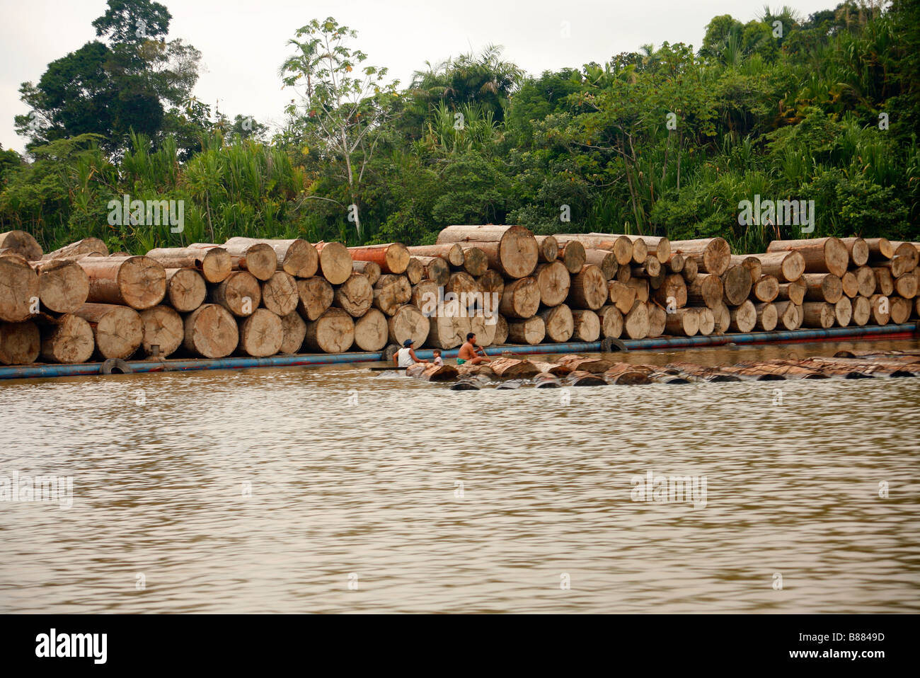 Schiff, beladen mit Holz auf dem Amazonas bei Iquitos, Peru Stockfoto