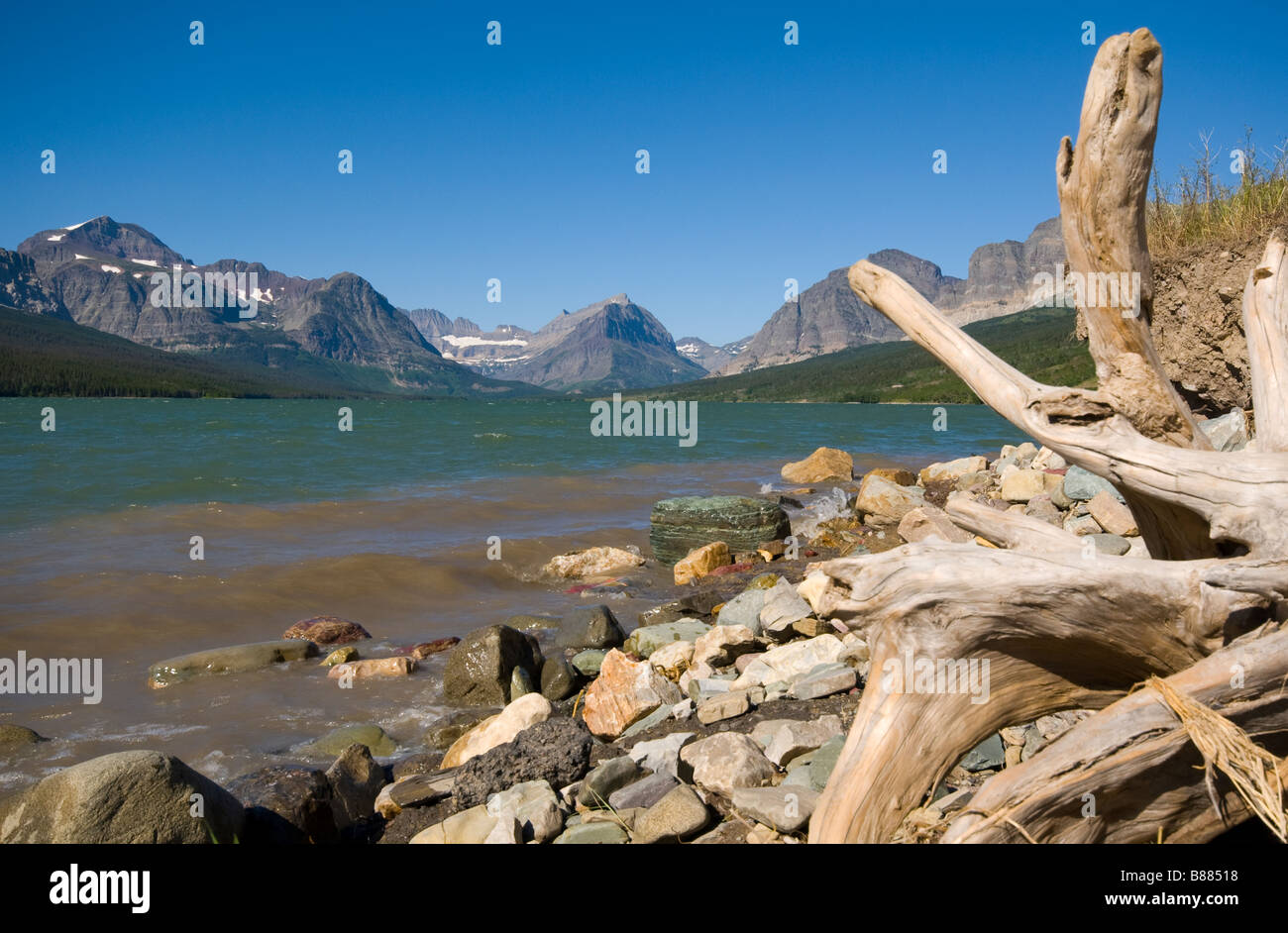Blick über See und Many Glacier St. Marien mit einem toten Baumstamm als Vordergrund Interesse Stockfoto