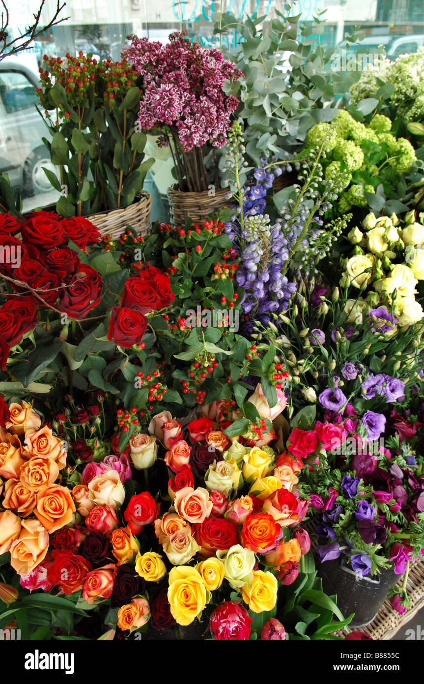 Auswahl an verschiedenen Blumen zu verkaufen in Wild am Herzen Floristen in Türkis Insel, Westbourne Grove, Notting Hill. Stockfoto