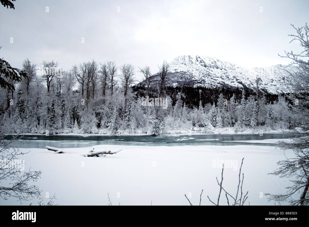 Schneebedeckte Bäume Creek und Peak neben Sterling Highway Kenai National Wildlife Refuge Alaska Stockfoto