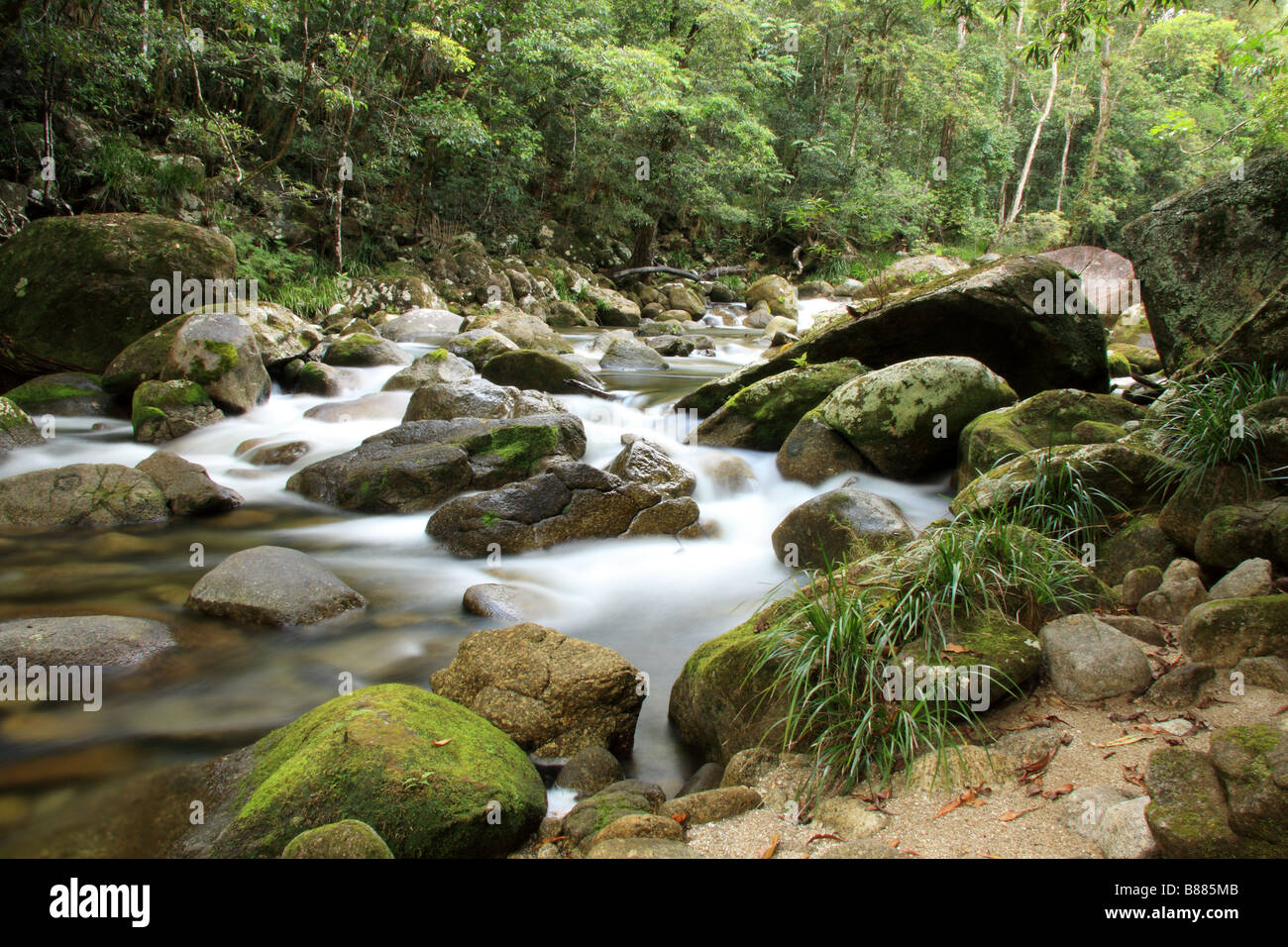 Fließendes Wasser, Mossman Gorge, Nord-Queensland, Australien Stockfoto