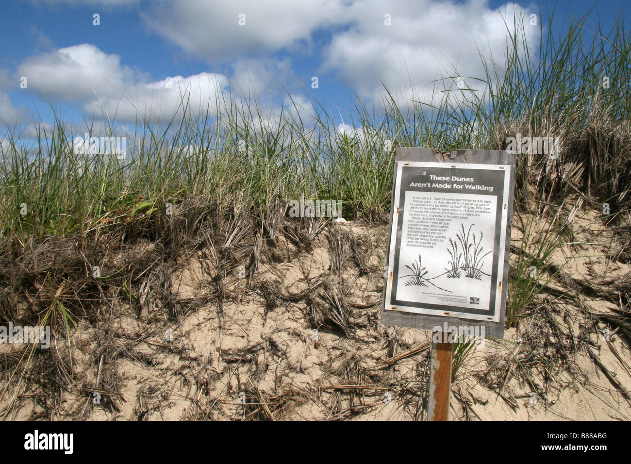 "Diese Dünen nicht sind Made for Walking" Zeichen, Cape Code National Seashore, Falmouth, Massachusetts. Stockfoto